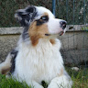 Meet your Posher, Liza